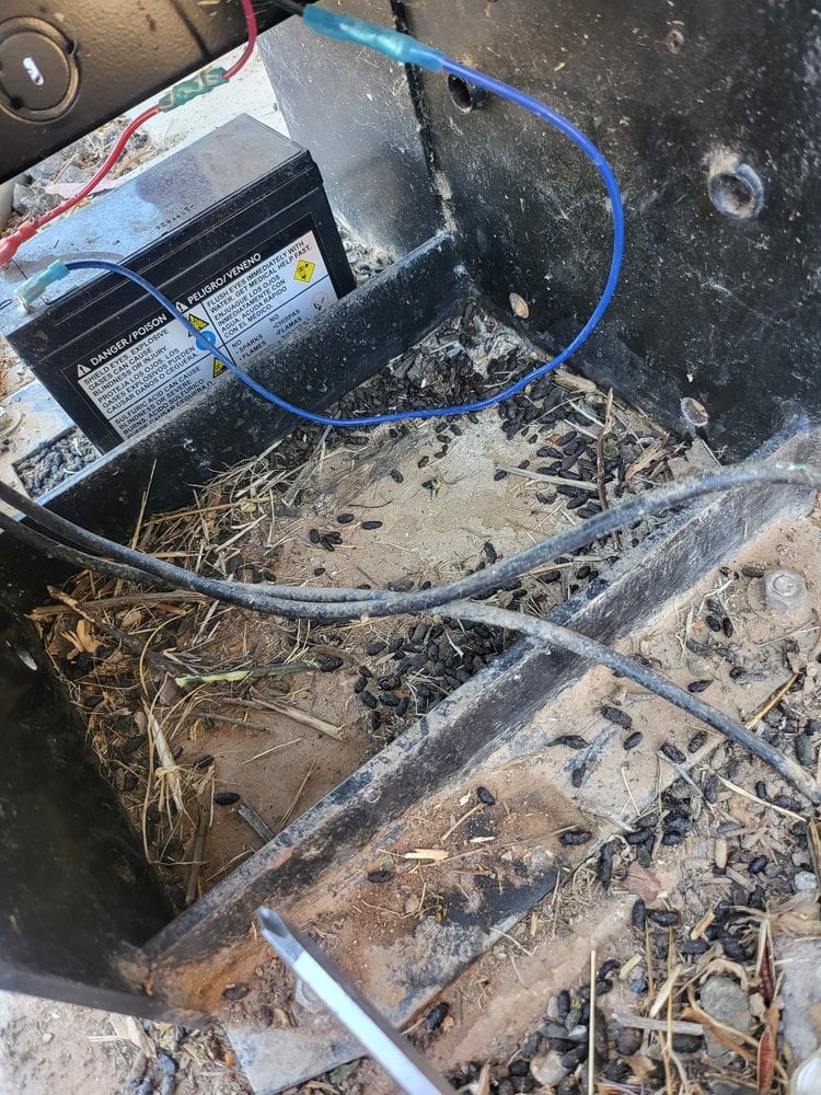 Rodent nesting debris found around backup battery inside automatic gate opener in Anthem AZ